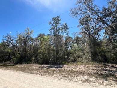 Withlacoochee River Lot For Sale in Webster Florida
