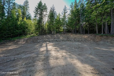 Sweeping views of the Cabinet Mountains and close proximity to - photo 11