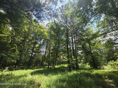 8+/- Acres Bordering Caney Creek Wildlife Management Area | - photo 11
