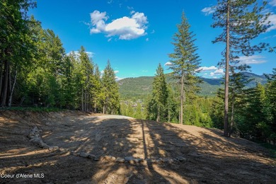 Sweeping views of the Cabinet Mountains and close proximity to - photo 12