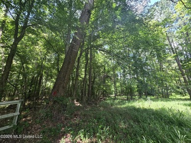 8+/- Acres Bordering Caney Creek Wildlife Management Area | - photo 12