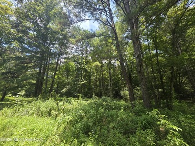 8+/- Acres Bordering Caney Creek Wildlife Management Area | - photo 13