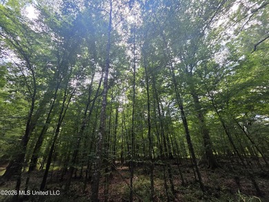 8+/- Acres Bordering Caney Creek Wildlife Management Area | - photo 20