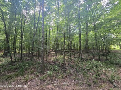 8+/- Acres Bordering Caney Creek Wildlife Management Area | - photo 21