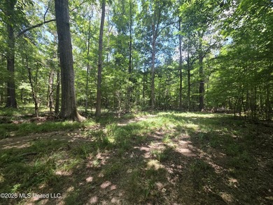 8+/- Acres Bordering Caney Creek Wildlife Management Area | - photo 23