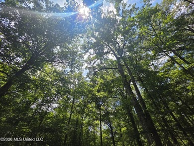 8+/- Acres Bordering Caney Creek Wildlife Management Area | - photo 24