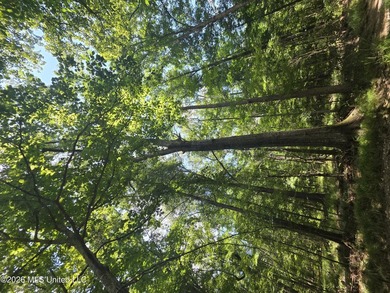 8+/- Acres Bordering Caney Creek Wildlife Management Area | - photo 25