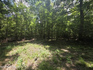 8+/- Acres Bordering Caney Creek Wildlife Management Area | - photo 27