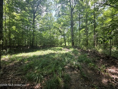 8+/- Acres Bordering Caney Creek Wildlife Management Area | - photo 28
