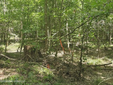 8+/- Acres Bordering Caney Creek Wildlife Management Area | - photo 29