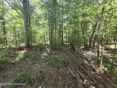8+/- Acres Bordering Caney Creek Wildlife Management Area | - photo 30