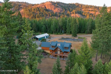 Lake Home For Sale in Clark Fork, Idaho