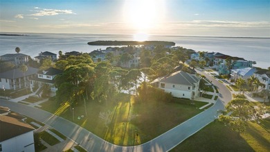 (private lake, pond, coastal) Lot For Sale in Tarpon Springs Florida