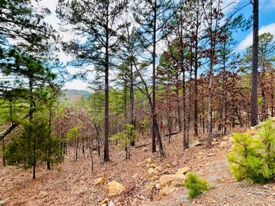 (private lake, pond, creek) Acreage For Sale in Tuskahoma Oklahoma