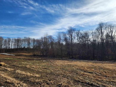 Welcome to a rare opportunity to build on 4-10 acre tracts in a - photo 23