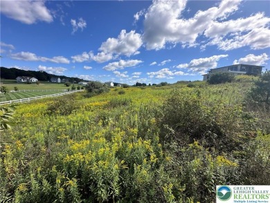 (private lake, pond, creek) Lot For Sale in Towamensing Twp Pennsylvania