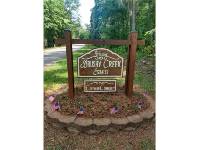 Lake Lot For Sale in Jackson, Georgia