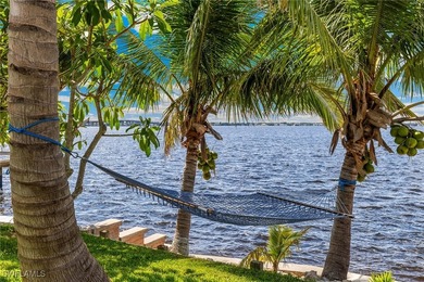 Over-sized riverfront lot! Gorgeous neighborhood! Lush - photo 3