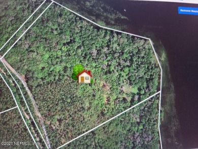 Lake Acreage For Sale in Georgetown, Florida