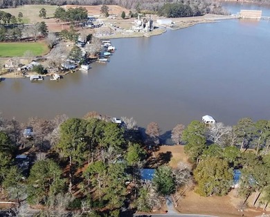 LAKE BLACKSHEAR ~ GREAT VIEW!!! Awesome location, Worth County - photo 3