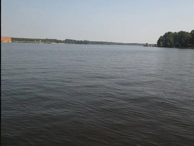 LAKE BLACKSHEAR ~ GREAT VIEW!!! Awesome location, Worth County - photo 4