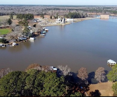 LAKE BLACKSHEAR ~ GREAT VIEW!!! Awesome location, Worth County - photo 5