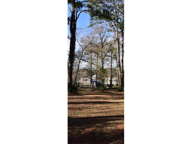 LAKE BLACKSHEAR ~ GREAT VIEW!!! Awesome location, Worth County - photo 6