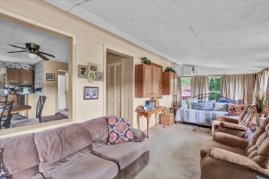Lake View and Neighborhood Boat Ramp-AFFORDABLE PRICE, TOO! - photo 16
