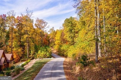 *The mountains are calling and I must go.* This 4.51 acre lot is - photo 11