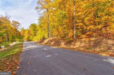 *The mountains are calling and I must go.* This 4.51 acre lot is - photo 12