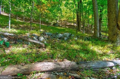 *The mountains are calling and I must go.* This 4.51 acre lot is - photo 13