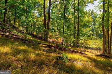 *The mountains are calling and I must go.* This 4.51 acre lot is - photo 14