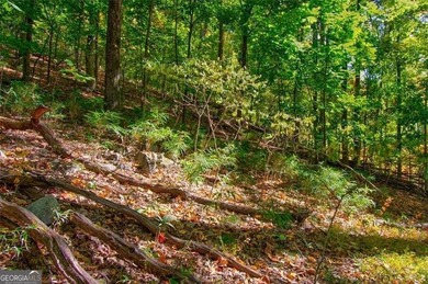 *The mountains are calling and I must go.* This 4.51 acre lot is - photo 15