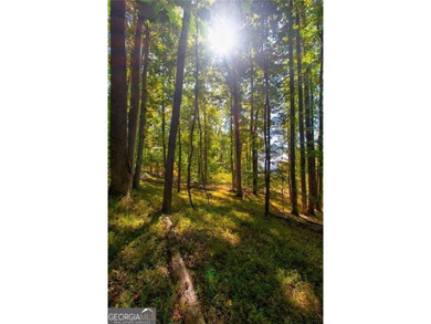 *The mountains are calling and I must go.* This 4.51 acre lot is - photo 16