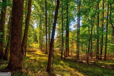 *The mountains are calling and I must go.* This 4.51 acre lot is - photo 17
