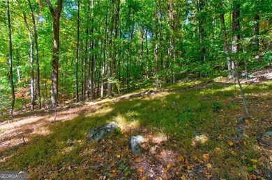 *The mountains are calling and I must go.* This 4.51 acre lot is - photo 18