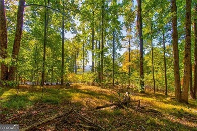 *The mountains are calling and I must go.* This 4.51 acre lot is - photo 19