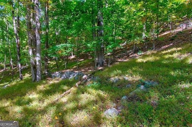*The mountains are calling and I must go.* This 4.51 acre lot is - photo 20