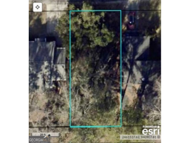 Lake Lot For Sale in Warner Robins, Georgia