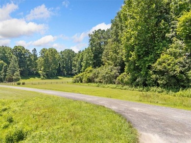 (private lake, pond, creek) Acreage For Sale in Ellijay Georgia