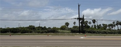 Prime location land tract totaling 19.326 Acres with 6.5 Acres - photo 2