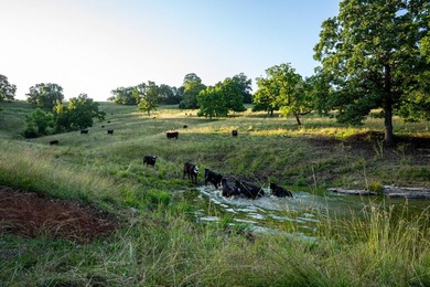 The Stansberry Creek Ranch is located just 10 miles south of - photo 4
