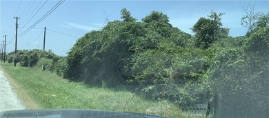 Prime location land tract totaling 19.326 Acres with 6.5 Acres - photo 5