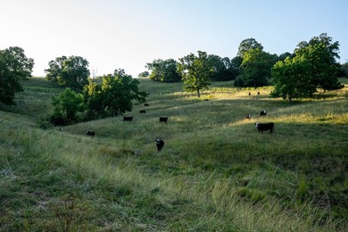 The Stansberry Creek Ranch is located just 10 miles south of - photo 9