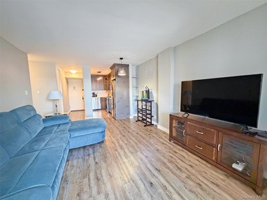 1 Bedroom Apartment for Sale in Forest Hills NY - Fully - photo 2