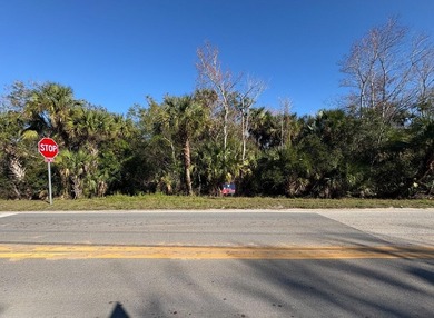 3.33 RESIDENTIAL LOT! One of the last residential lots in Grant - photo 1