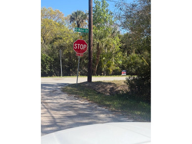 3.33 RESIDENTIAL LOT! One of the last residential lots in Grant - photo 2