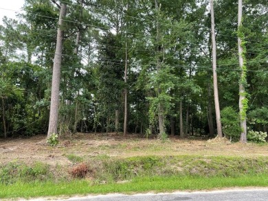 Lake Lot For Sale in Cordele, Georgia