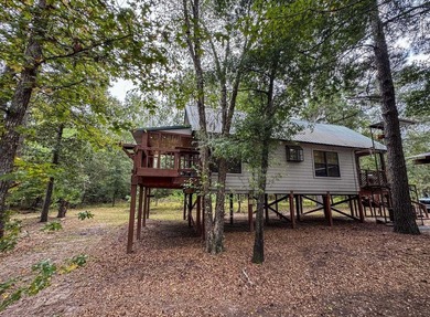 Caddo Lake Escape where the woods, water, and wildlife come - photo 45