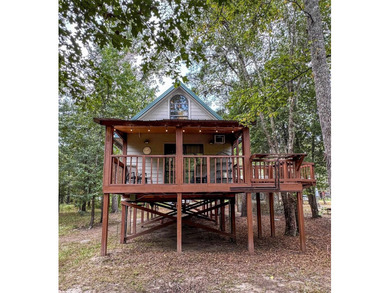 Caddo Lake Escape where the woods, water, and wildlife come - photo 46